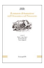 Il romanzo di formazione nell'Ottocento e nel Novecento