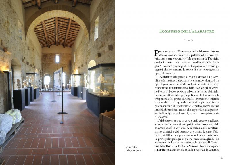 11/ - La Pinacoteca di Volterra. Una guida per il visitatore