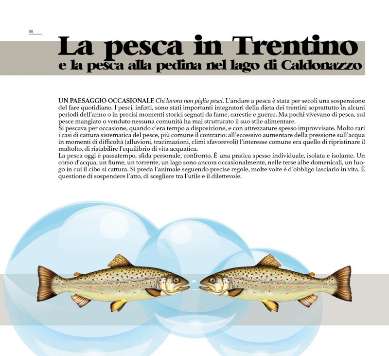 13/ - Cibo e paesaggio. Riflessioni su alcune pratiche alimentari del Trentino