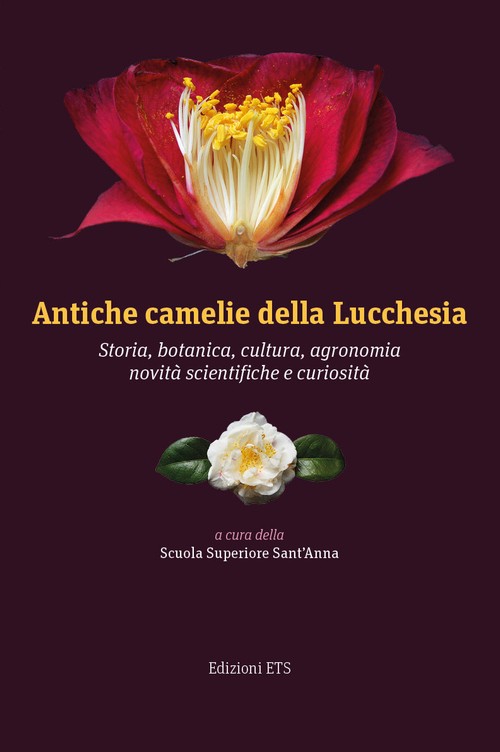 Antiche camelie della Lucchesia.Storia, botanica, cultura, agronomia, novità scientifiche e curiosità