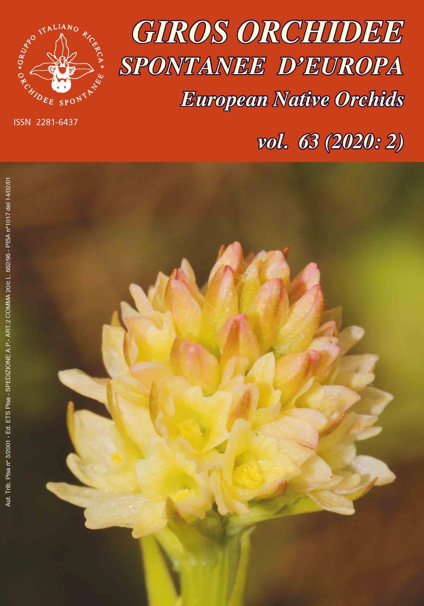 Orchidee spontanee d’Europa 2/2020.Rivista semestrale del GIROS