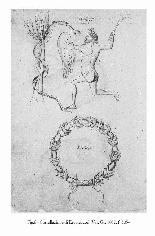 4/ - Fig.6 - Costellazione di Ercole, cod. Vat. Gr. 1087, f. 305v