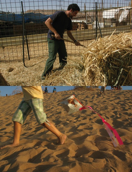 7/ - Kibbutz 3000. Compleanno di un sogno, attualit� di un'idea<br> Fotografie, racconti, interviste
