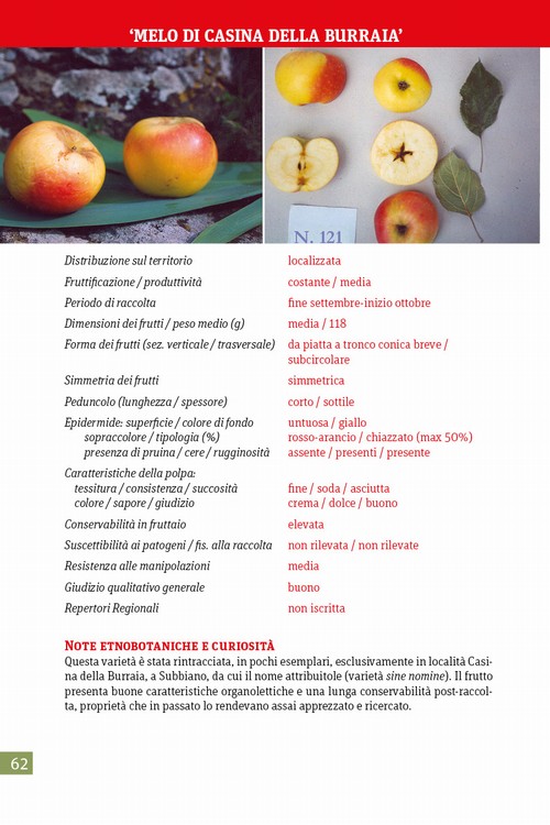 9/ - Alla riscoperta della frutta antica del Casentino. Un patrimonio agroalimentare di alto pregio genetico, culturale ed economico