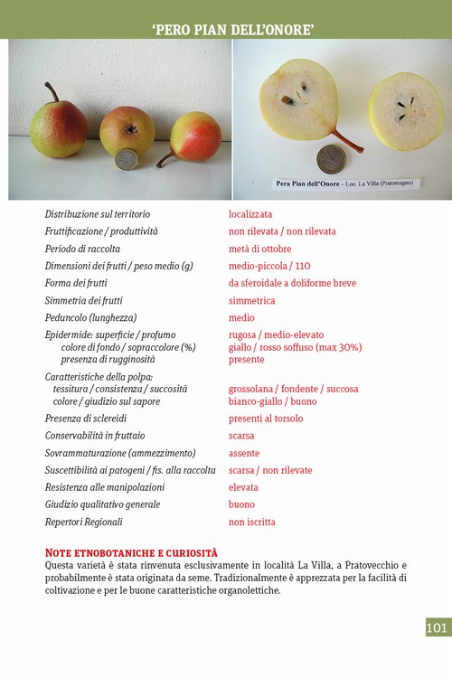 8/ - Alla riscoperta della frutta antica del Casentino. Un patrimonio agroalimentare di alto pregio genetico, culturale ed economico