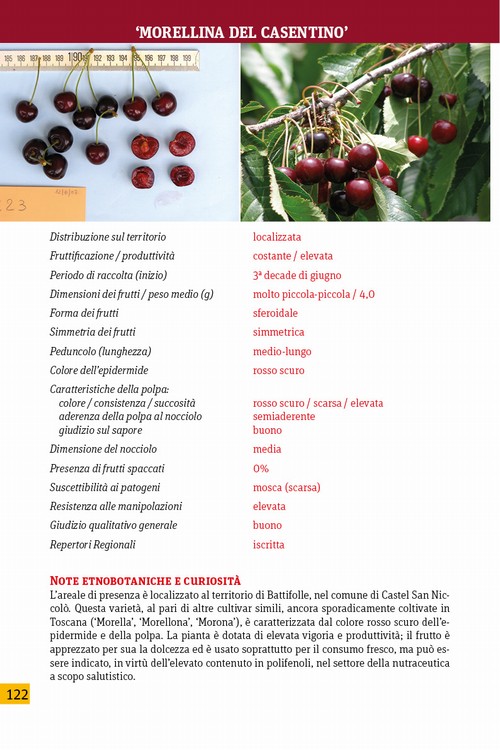 7/ - Alla riscoperta della frutta antica del Casentino. Un patrimonio agroalimentare di alto pregio genetico, culturale ed economico