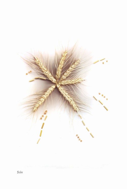 6/ - Ti racconto la terra. Apologia del buon cibo fra agricoltura e buone pratiche alimentari