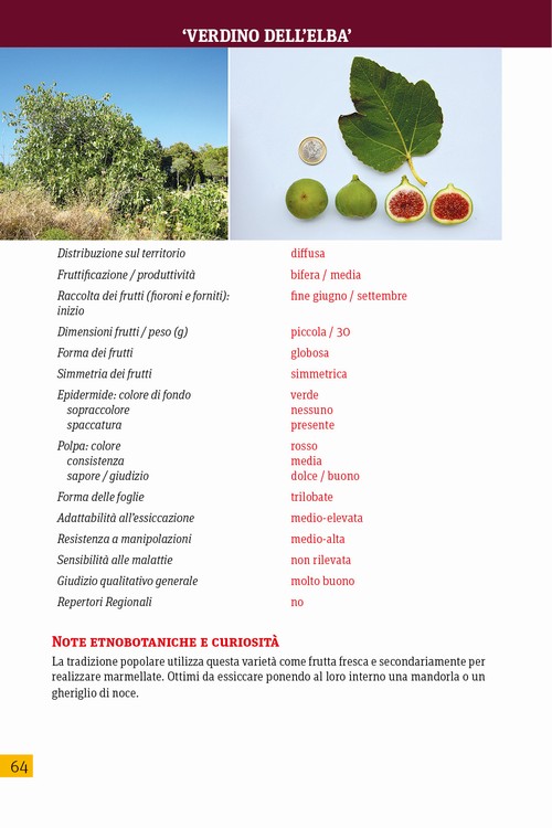 6/ - L'orto dei semplici nell'Eremo di Santa Caterina a Rio nell'Elba. Frutta antica e piante spontanee nella tradizione alimentare elbana