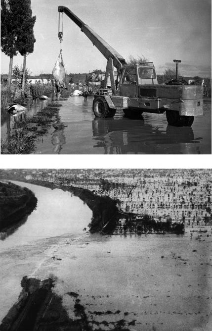 4/ - Il giorno del diluvio. 4 novembre 1966 <br />L'alluvione a Pisa e in provincia. Seconda edizione aggiornata agli eventi del  2014