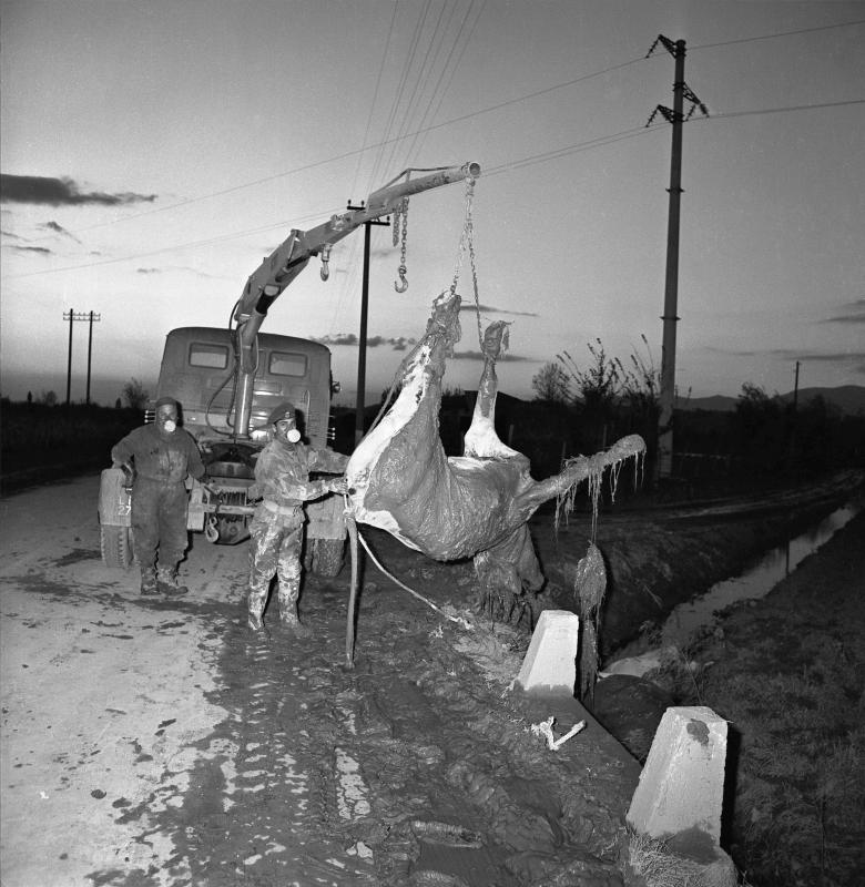 5/ - Il giorno del diluvio <br /> 4 novembre 1966 <br />L'alluvione a Pisa e in provincia. Terza edizione