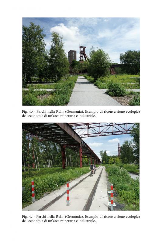 5/ - amico albero. ruoli e benefici del verde nelle nostre citt� (e non solo)