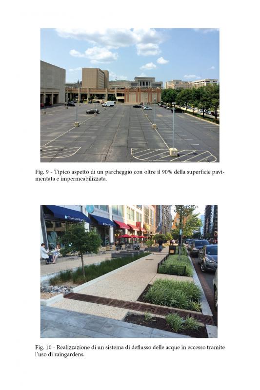 8/ - amico albero. ruoli e benefici del verde nelle nostre citt� (e non solo)