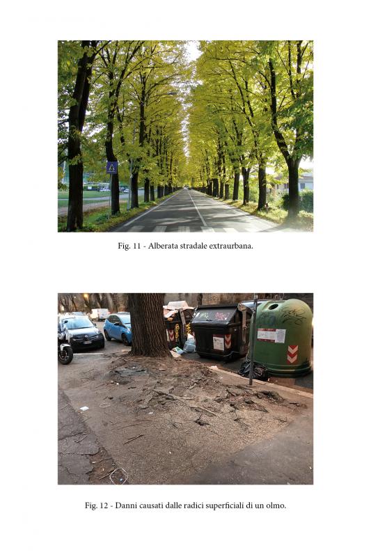 9/ - amico albero. ruoli e benefici del verde nelle nostre citt� (e non solo)