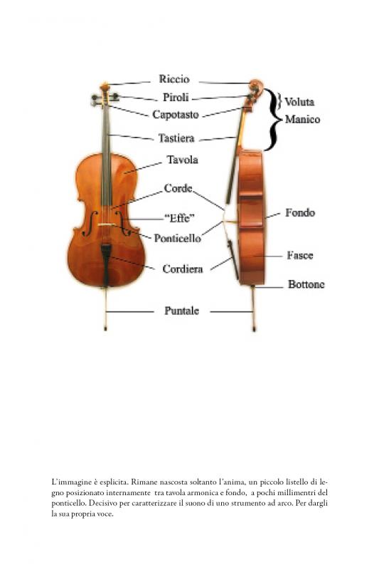 2/ - Le voci del violoncello. 