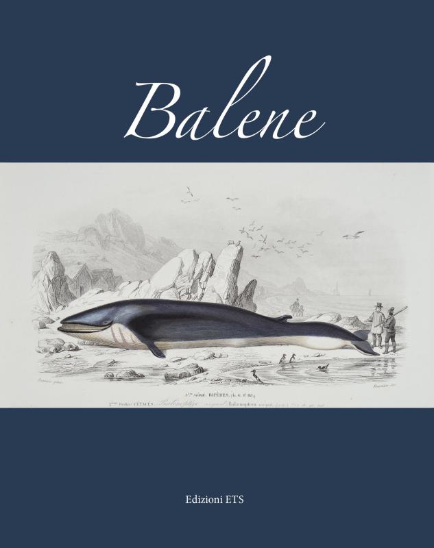 1/ - copertina