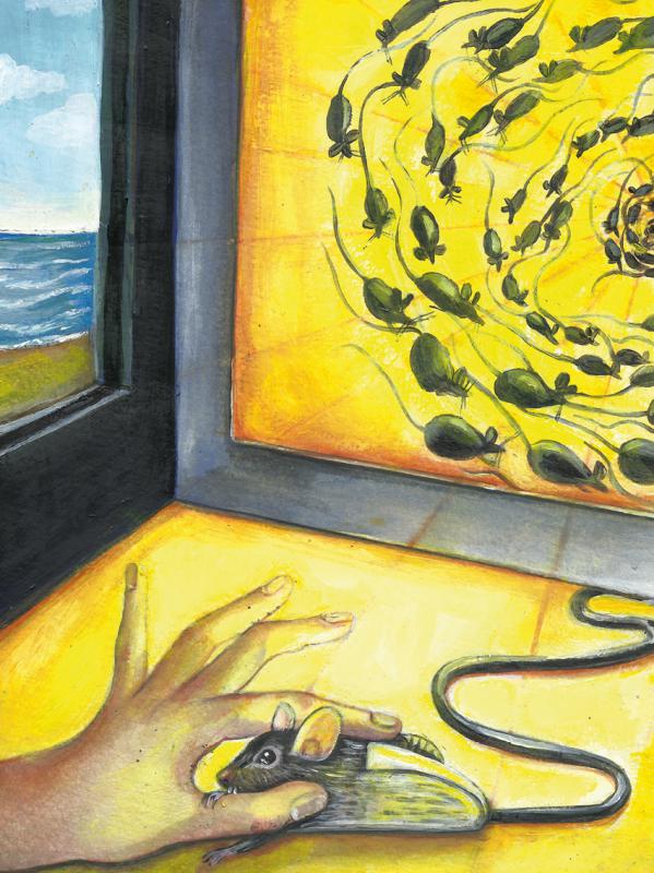 4/ - L&rsquo;incantatore di mouse. Il Pifferaio magico come nessuno ve l�ha mai raccontato