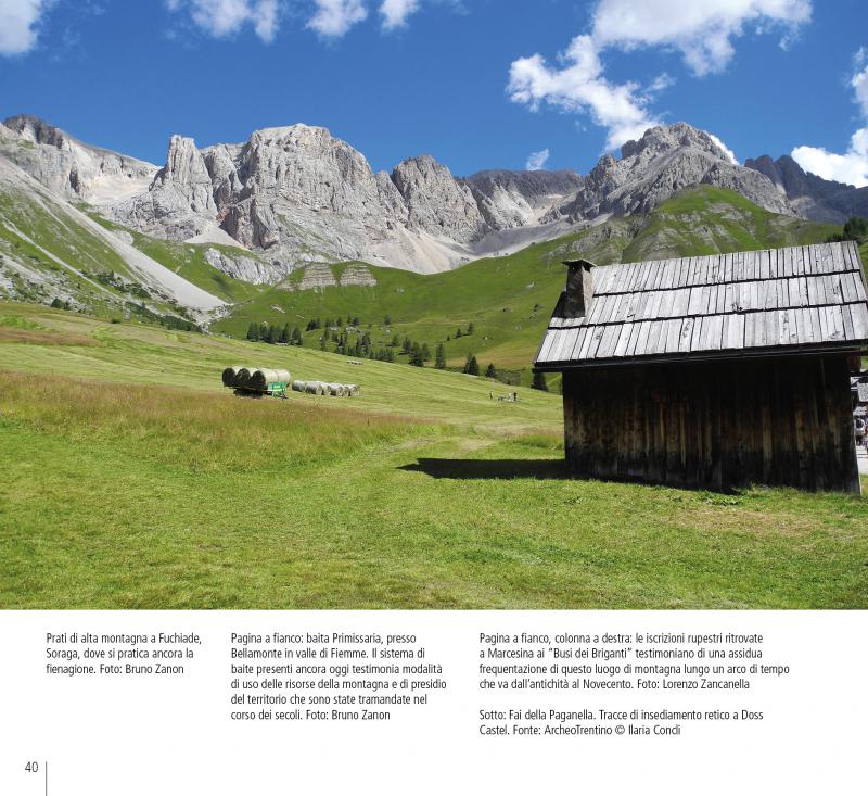 7/ - I paesaggi del Trentino. Caratteri, percezioni e vissuto di un territorio alpino