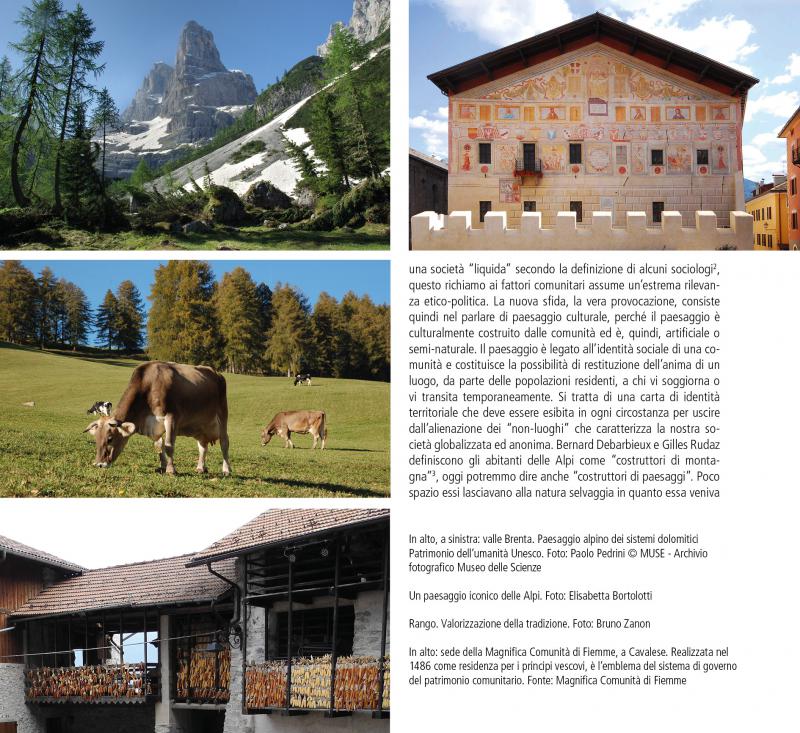 8/ - I paesaggi del Trentino. Caratteri, percezioni e vissuto di un territorio alpino