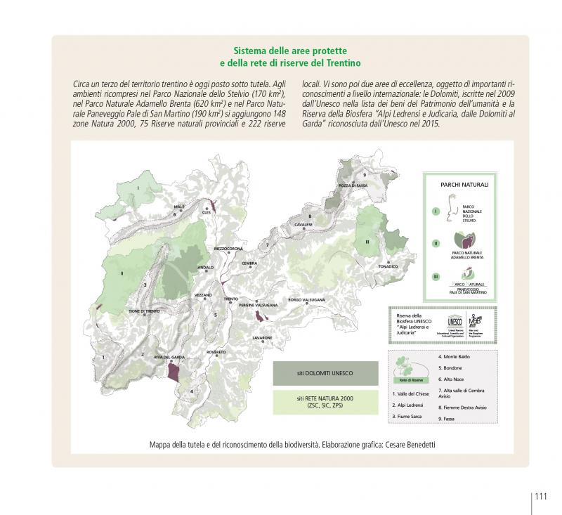 15/ - I paesaggi del Trentino. Caratteri, percezioni e vissuto di un territorio alpino