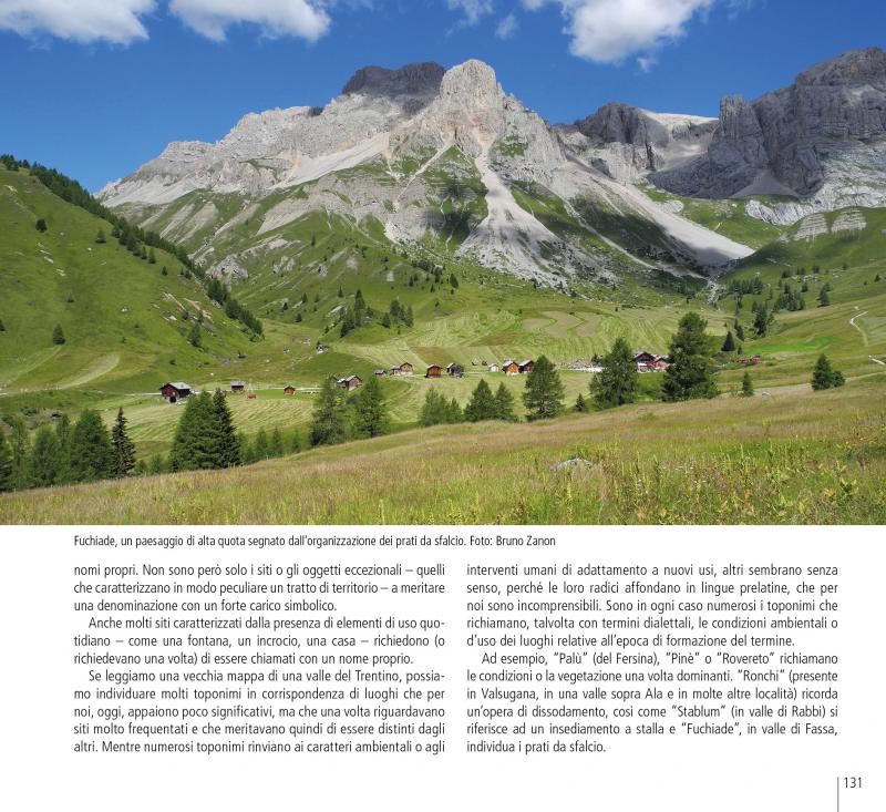 17/ - I paesaggi del Trentino. Caratteri, percezioni e vissuto di un territorio alpino
