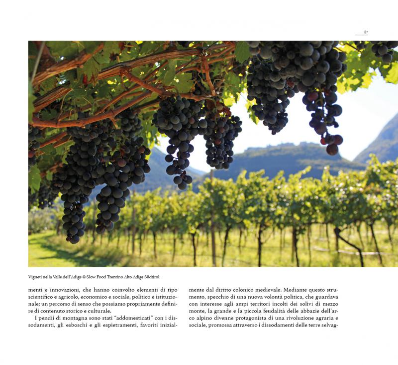 4/ - Cibo e paesaggio. Riflessioni su alcune pratiche alimentari del Trentino