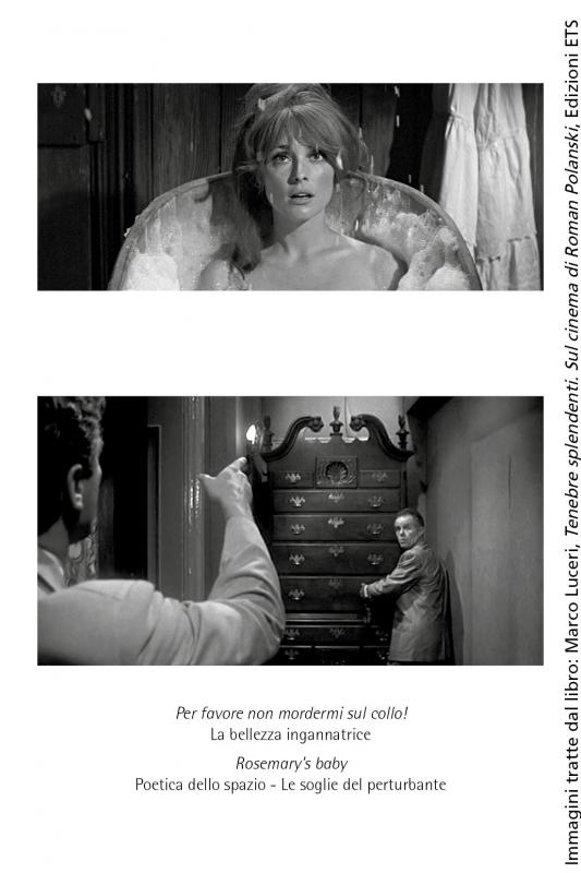 5/ - Tenebre splendenti&nbsp;. Sul cinema di Roman Polanski