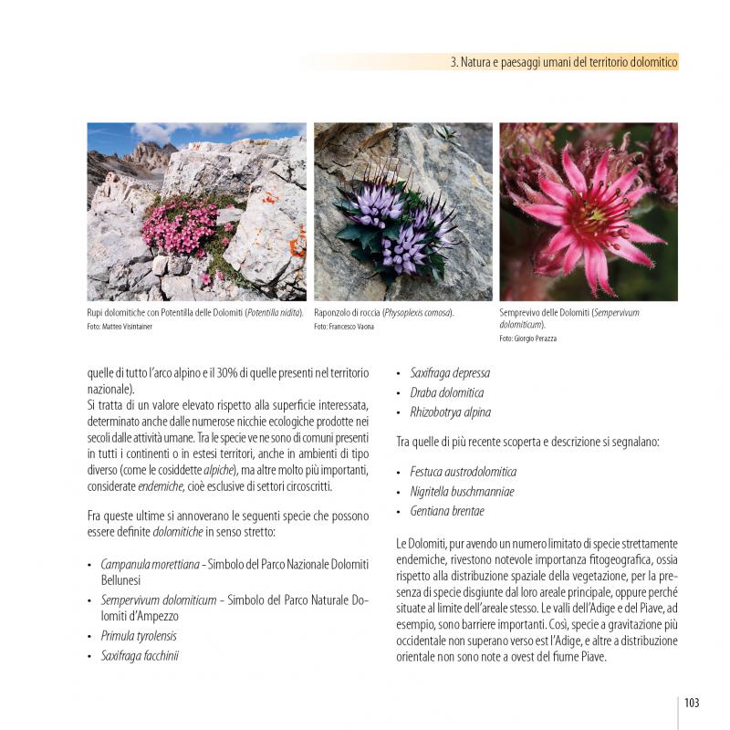 12/ - Le Dolomiti&nbsp;. Patrimonio mondiale Unesco. Fenomeni geologici e paesaggi umani