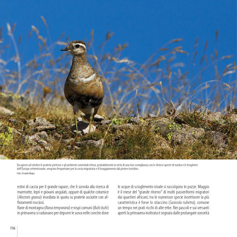 14/ - Le Dolomiti&nbsp;. Patrimonio mondiale Unesco. Fenomeni geologici e paesaggi umani