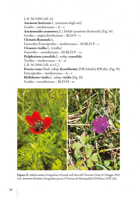 3/ - Flora empolese. Elenco della flora vascolare della terra d'Empoli