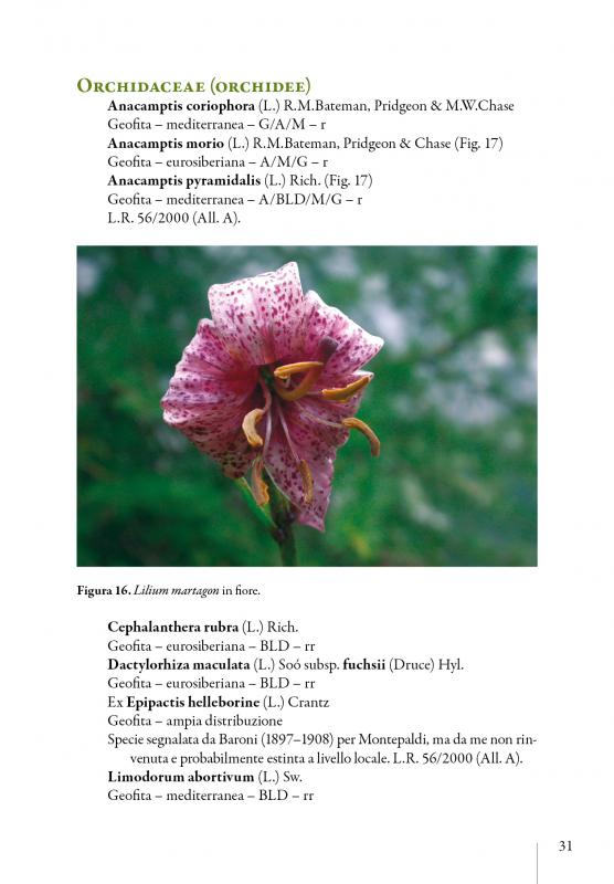 4/ - Flora empolese. Elenco della flora vascolare della terra d'Empoli