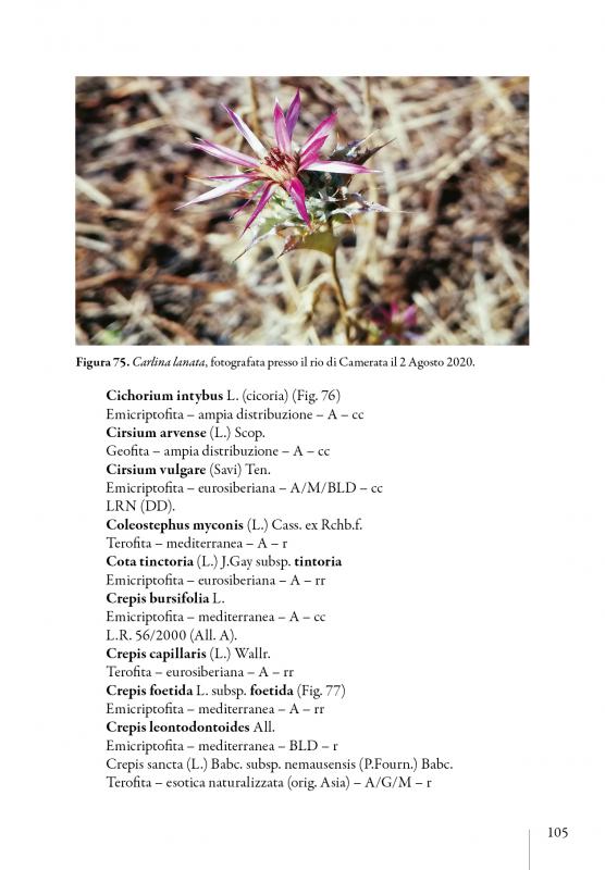 10/ - Flora empolese. Elenco della flora vascolare della terra d'Empoli