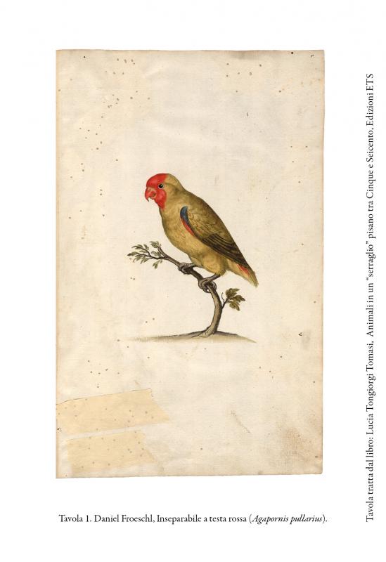 3/ - Animali in un &ldquo;serraglio&rdquo; pisano tra Cinque e Seicento. 