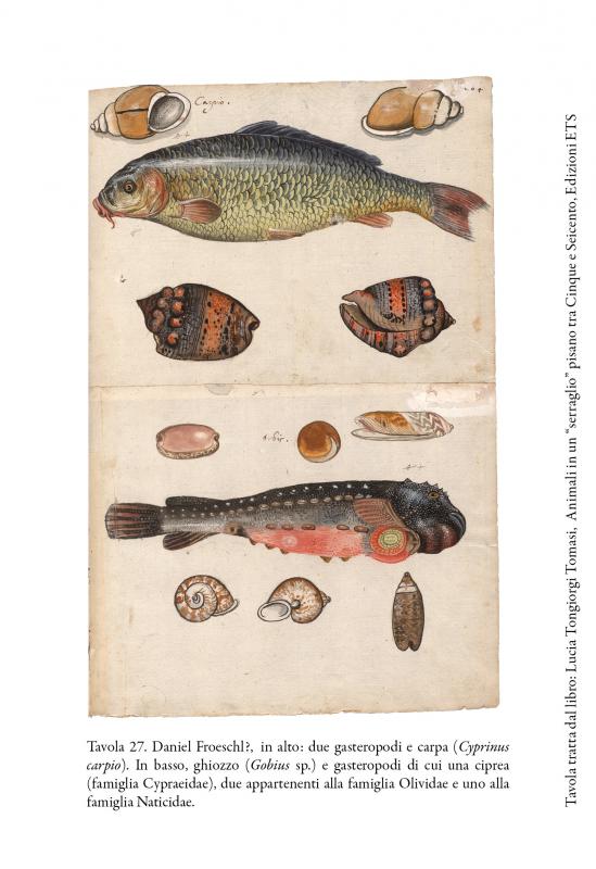 10/ - Animali in un &ldquo;serraglio&rdquo; pisano tra Cinque e Seicento. 