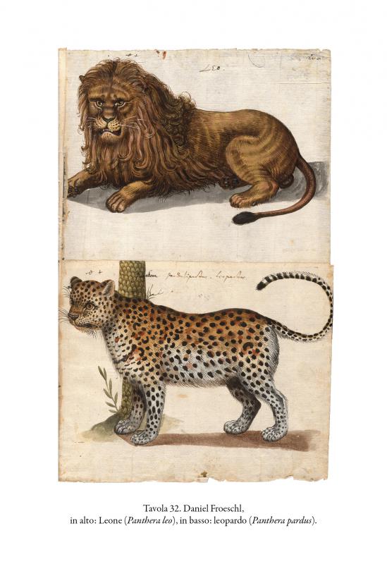 13/ - Animali in un &ldquo;serraglio&rdquo; pisano tra Cinque e Seicento. 